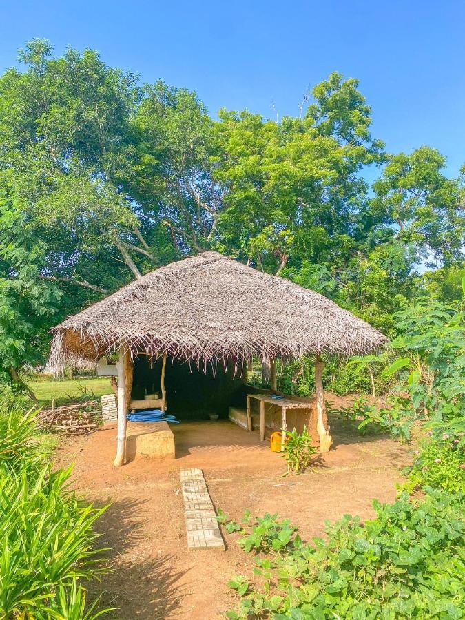 Green Villa Yala Tissamaharama Exterior photo